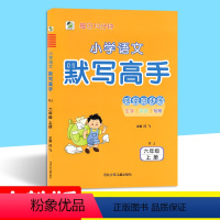 [人教版]语文-上册 小学六年级 [正版]语文默写能手 六年级上册下册语文练习册2023春小学语文默写高手随堂同步练乐双