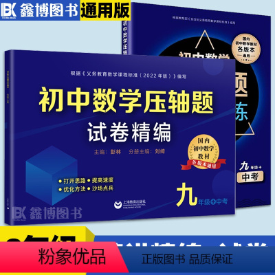 压轴题[书+试卷] 九年级/初中三年级 [正版]初中数学压轴题精讲精练九年级+中考初中数学压轴题试卷精编真题破难题瓶颈数