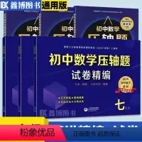 压轴题[书+试卷] 九年级/初中三年级 [正版]初中数学压轴题精讲精练七年级八年级九年级初中数学压轴题试卷精编真题破难题