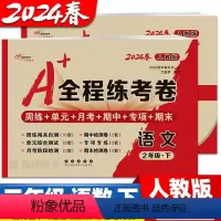 [人教语文+人教数学] 二年级上 [正版]2024春 全程练考卷 二年级上册下册数学人教版语文单元测试卷期中期末考试卷子