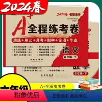 [人教语文+苏教数学] 六年级上 [正版]2024春 全程练考卷 六年级上册下册苏教版小学数学江苏版语文单元测试卷期中期