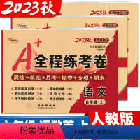 3本:[人语+人数+人英] 六年级上 [正版]2024春 全程练考卷 六年级上册下册数学人教版语文单元测试卷期中期末考试