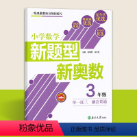 [正版]新题型新奥数 三年级奥数思维训练小学数学新题型新奥数3年级举一反三融会贯通 南京大学出版社