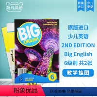 [正版]培生朗文英文原版进口朗文少儿美语旗舰课程新版 Big English 第二版教师教学挂图 第六级5-12岁