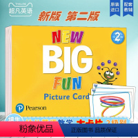 [正版]朗文培生幼儿英语新版new Big Fun 2级别大卡第二版本 Picture Cards 教学卡片套装