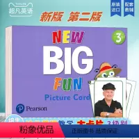 [正版]朗文培生幼儿英语新版new Big Fun 3级别大卡第二版本 Picture Cards 教学卡片套装