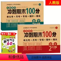 二年级语文+数学(下册) 小学二年级 [正版]二年级下册试卷测试卷全套 2024新版冲刺期末100分语文数学书同步训练试