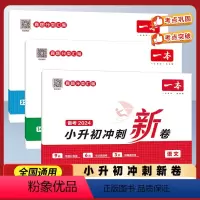 [小升初冲刺新卷]语数英 小学通用 [正版]2024新版 一本小升初名校冲刺新卷语文数学英语 真题冲刺新篇 专题冲刺新卷