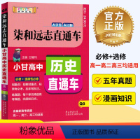 历史 高中三年级 [正版]2024小甘高中历史必修+选修高中高一高二高三通用高考历史小甘随身记高中历史人教版/RJ辅导资