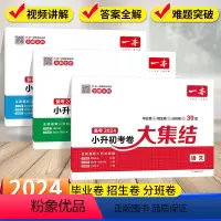 考卷大结集[语数英] 小学通用 [正版]2024一本小学毕业升学考卷大集结语文数学英语毕业升学真卷精编小升初试卷小学毕业
