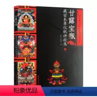 [正版]甘露宝瓶:藏密本尊仪轨讲授集1 多识仁波切 甘肃民族出版社