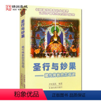 [正版]外观旧 圣行与妙果 藏传佛密宗奇迹 才旺瑞乳 编著 甘肃民族出版社 信仰的追索