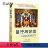 [正版]外观旧 圣行与妙果 藏传佛密宗奇迹 才旺瑞乳 编著 甘肃民族出版社 信仰的追索