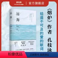 [正版]远海 孔枝泳 《熔炉》作者新作 韩国 长篇小说文学图书 你的夏天还好吗金爱烂82年生的金智英关于女儿韩江不做