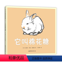 它叫棉花糖 [正版]它叫棉花糖 克莱尔·特雷·纽伯瑞 猫 爱 亲密 幸福 温暖 友谊 母爱 二胎 凯迪克大奖 感动