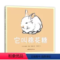 它叫棉花糖 [正版]它叫棉花糖 克莱尔·特雷·纽伯瑞 猫 爱 亲密 幸福 温暖 友谊 母爱 二胎 凯迪克大奖 感动