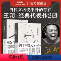 [正版]王朔代表作 知道分子 + 致女儿书 2023新版2册套装 起初纪年竹书绝地天通 文学散文小说 精装 图书
