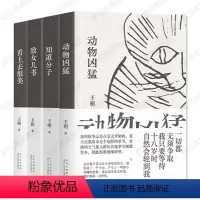 [正版]王朔经典作品 新版套装 动物凶猛 知道分子 致女儿书 看上去很美 小说散文杂文代表作