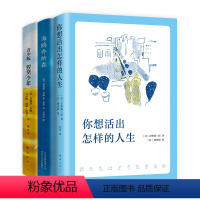 驭风少年(青少版) [正版]你想活出怎样的人生(套装全3册)你想活出怎样的人生 驭风少年 海鸥乔纳森 套装
