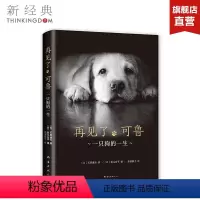 [正版]再见了,可鲁 石黑谦吾 导盲犬小Q 原著小说 精装珍藏 狗 爱与感动 四色印刷 图书
