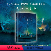 [正版]直营 图书天边一星子 邓安庆 小说 致敬沈从文 比肩《皮囊》 励志人生 年度好书 精装珍藏