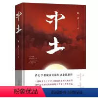 [正版] 中土 清史学者戴寅的长篇历史小说新作