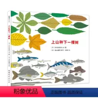 上山种下一棵树 [正版]上山种下一棵树 科普生态环保 3-6岁精装绘本一粒种子的旅行前传植物森林松鼠狐狸猫头鹰动物山海
