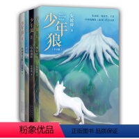 少年狼(套装) [正版]少年狼(全4册)一只小狼的大草原冒险记 知名作家安波舜 励志寓言小说 收录50余幅精美插图