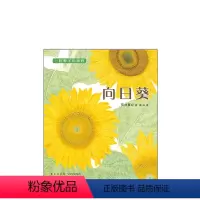一粒种子的旅程全套共3册 [正版]向日葵 “一粒种子的旅程”系列03 2017年布拉迪斯拉发国际插画双年展(BIB)金