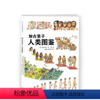 加古里子人类图鉴 [正版]加古里子人类图鉴 人类 科普读物 科学绘本 加古里子