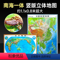 [正版]纵横2幅竖版中国地图3d凹凸立体+横版世界地形图1.1x0.8米 三维浮雕初中地理学生/办公室装饰挂画