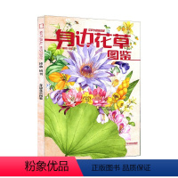 2022年 博物增刊 身边花草图鉴 [正版]身边花草图鉴 博物杂志花草专题精选集 博物增刊2022年