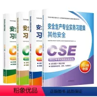 其他安全习题集4本 [正版]新版2024注册中级安全工程师建筑化工其他安全习题化工建筑煤矿冶炼非金属矿山生产管理法律法规