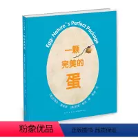 一颗的蛋 [正版]一颗完美的蛋 3-6-7-10岁 科普绘本 凯迪克奖得主史蒂夫·詹金斯作品 动物 繁衍 蛋 孵化 拼