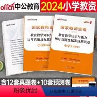 [正版]中公教育2024年国家教师证资格考试小学教育教学知识与能力历年真题库模拟试卷24半年中公教资复习资料笔试小教书