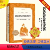 单本全册 [正版]L8精读书目《钢铁是怎样炼成的》小学原著小学初中学生课外阅读书籍中外阅读书目儿童课外书名著外国经典文学