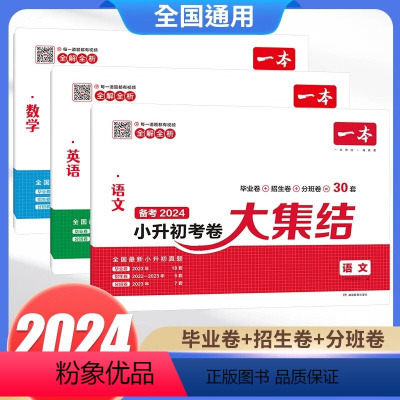 [语文+数学+英语]小升初考卷(加赠学而思网校阅读体验包) 小学升初中 [正版]一本小升初考卷大集结小学毕业升学语文数学