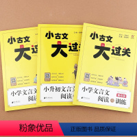 [全3本]小古文大过关模拟真题版 [正版]小学文言文阅读与训练加小升初文言文阅读与训练真题版模拟板小学3-6年级文言文起