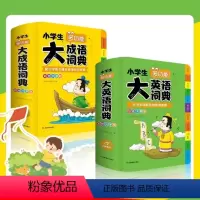 [正版]教育套装2册第2版小学生多功能大成语词典+多功能大英语词典(彩图大字版)版字典现代汉语词语儿童-