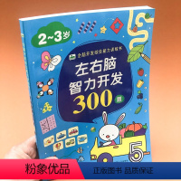 [正版]左右脑智力开发300题2-3岁全脑开发综合能力训练书幼儿早教启蒙益智图书推理判断能力训练逻辑思维能力小班班学前