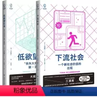 [正版]书2册 低欲望社会:丧失大志时代的新国富论+下流社会:一个新社会阶层的出现 上海译文出版社