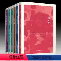 波德莱尔作品套装 [正版]单套自选 波德莱尔作品系列5种6册 恶之花+人造天堂+巴黎的忧郁+浪漫派的艺术+美学珍玩 上下