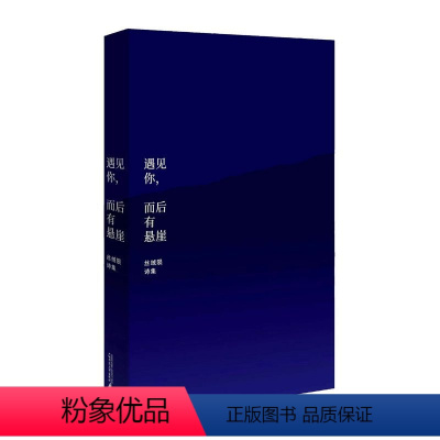 [正版] 遇见你,而后有悬崖 丝绒陨 著,惊奇WonderBooks 出品 广西师范大学出版社 北京贝贝特