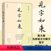 [正版] 见字如来 张大春 著 天地出版社 北京贝贝特 张大春的说文解字