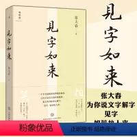 [正版] 见字如来 张大春 著 天地出版社 北京贝贝特 张大春的说文解字