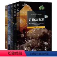 [正版] 好奇心丛书之自然观察手册 中国常见古生物化石+矿物与宝石+天体与天象+云与大气现象+岩石与地貌 朱江编重庆大