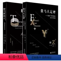 [正版]套装2册 数学的语言:化无形为可见+费马大定理:一个困惑了世间智者358年的谜 广西师范大学出版社 奥秘神奇的