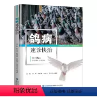 [正版]鸽病速诊快治 鸽子养殖书籍养鸽新技术鸽病防治图谱常见病诊断新编肉鸽赛鸽疾病诊疗全书书籍