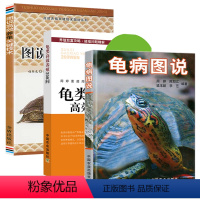 [正版]龟病图说龟类高效养殖技术200问乌龟养殖书养好宠物龟大全高健康效养殖技术书龟肠胃炎防治的书龟类图鉴养好龟蛋龟金