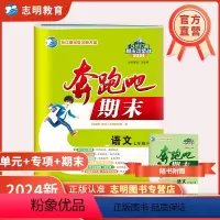 语文 七年级下 [正版]直营2024版 奔跑吧期末七年级语文下册人教版R 奔跑吧试卷初一7年级下册浙江省期末复习试卷假期